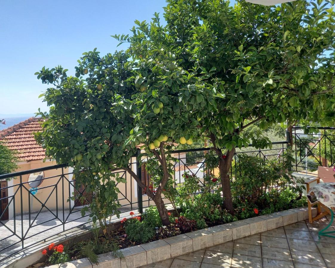 Πηλιο- Το Εξοχικο Τησ Αννασ- Αφησσοσ Villa Áfissos Ngoại thất bức ảnh