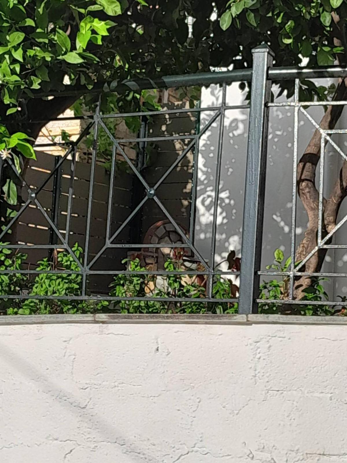 Πηλιο- Το Εξοχικο Τησ Αννασ- Αφησσοσ Villa Áfissos Ngoại thất bức ảnh